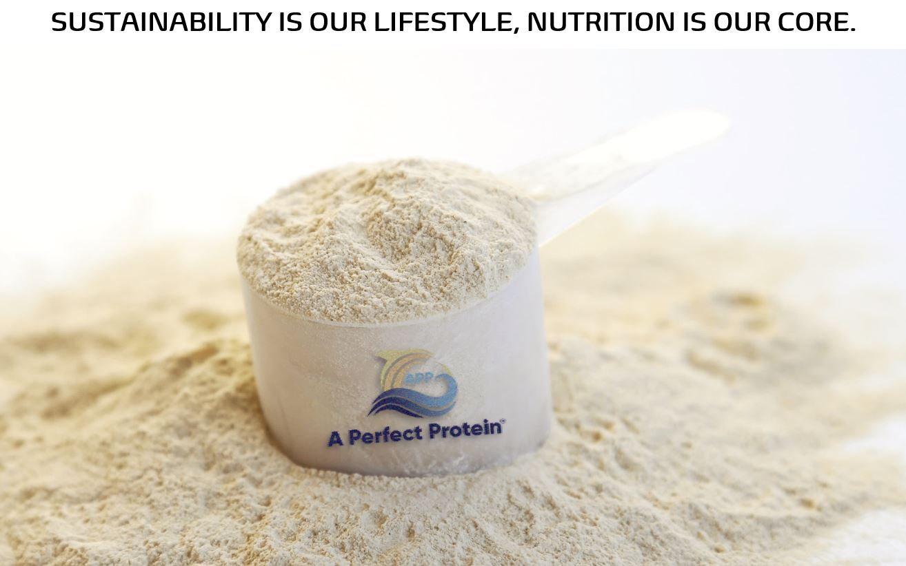 APP Protein Powder